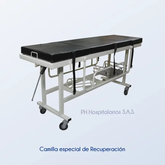 Camilla especial de Recuperación